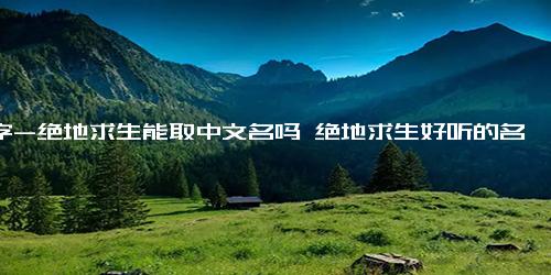 名字-绝地求生能取中文名吗 绝地求生好听的名字英文